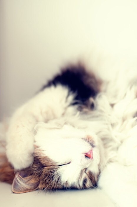 お試し1分からお電話できます 昔の話聞いて欲しい。ノロケ♡愚痴でもお気軽にお電話ください♪ イメージ7