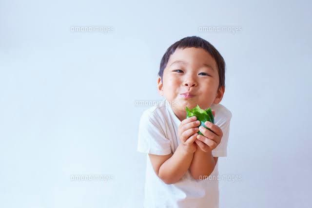 ３才までの過剰な食欲の抑えかたお教えいたします 2才と３才の男の子のぱぱとままの解決策です イメージ1