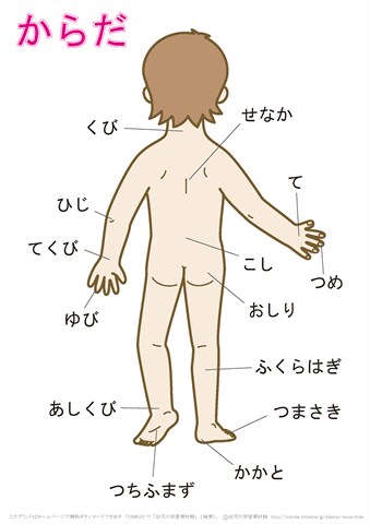 からだの悩み相談のります からだの疑問や不安にお答えします！ イメージ1