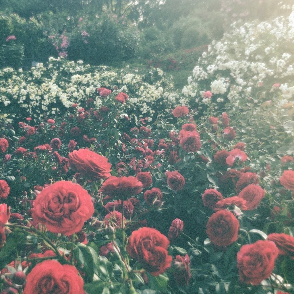 ワンコイン♡恋愛相談のります あなたの恋の悩み私にお話ししてください イメージ1