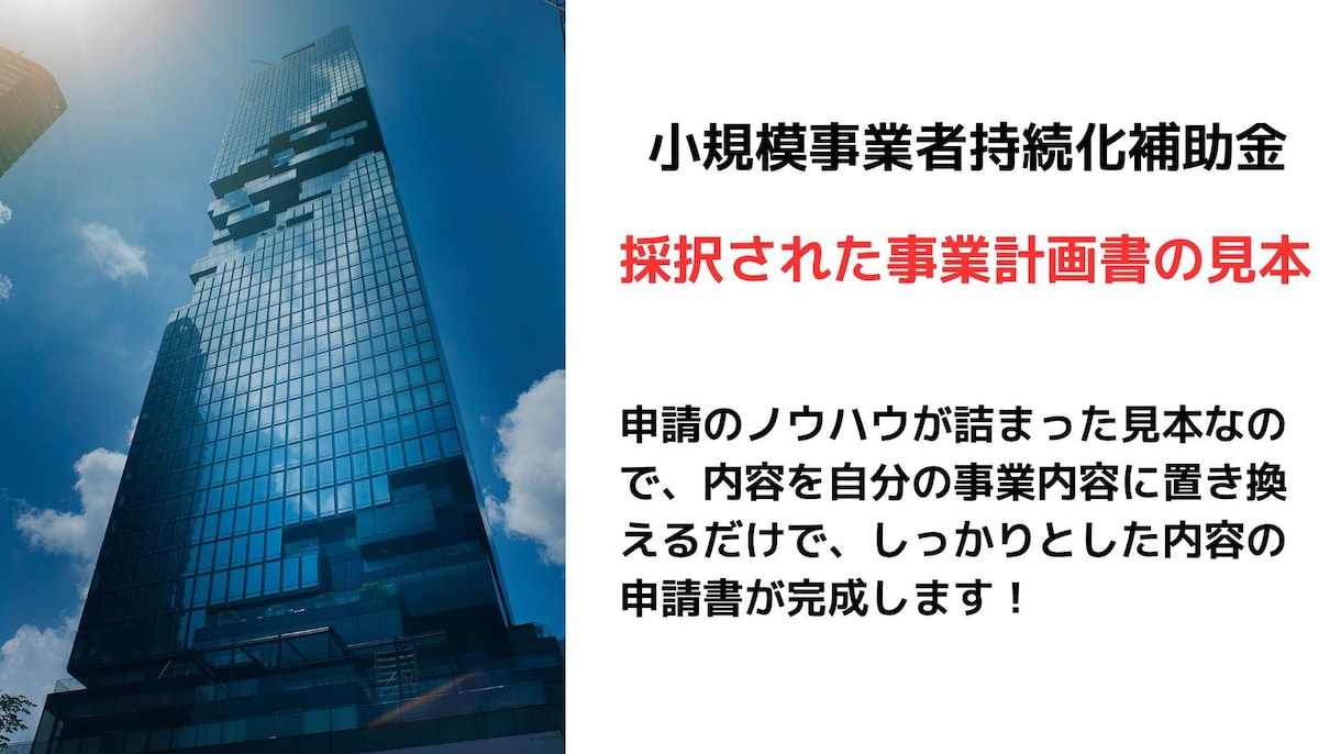 持続化補助金の経営計画書（書式２－１）を販売します 過去に採択された持続化補助金の書式２－１の見本です イメージ1