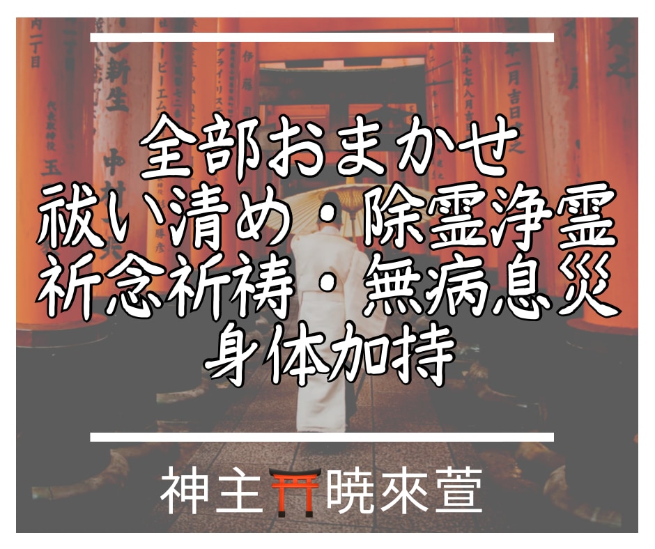 神主が祓い清め祈祷✴︎身体加持をココナラに届けます 全てお任せください。全身全霊でお勤めさせていただきます⛩️ イメージ1