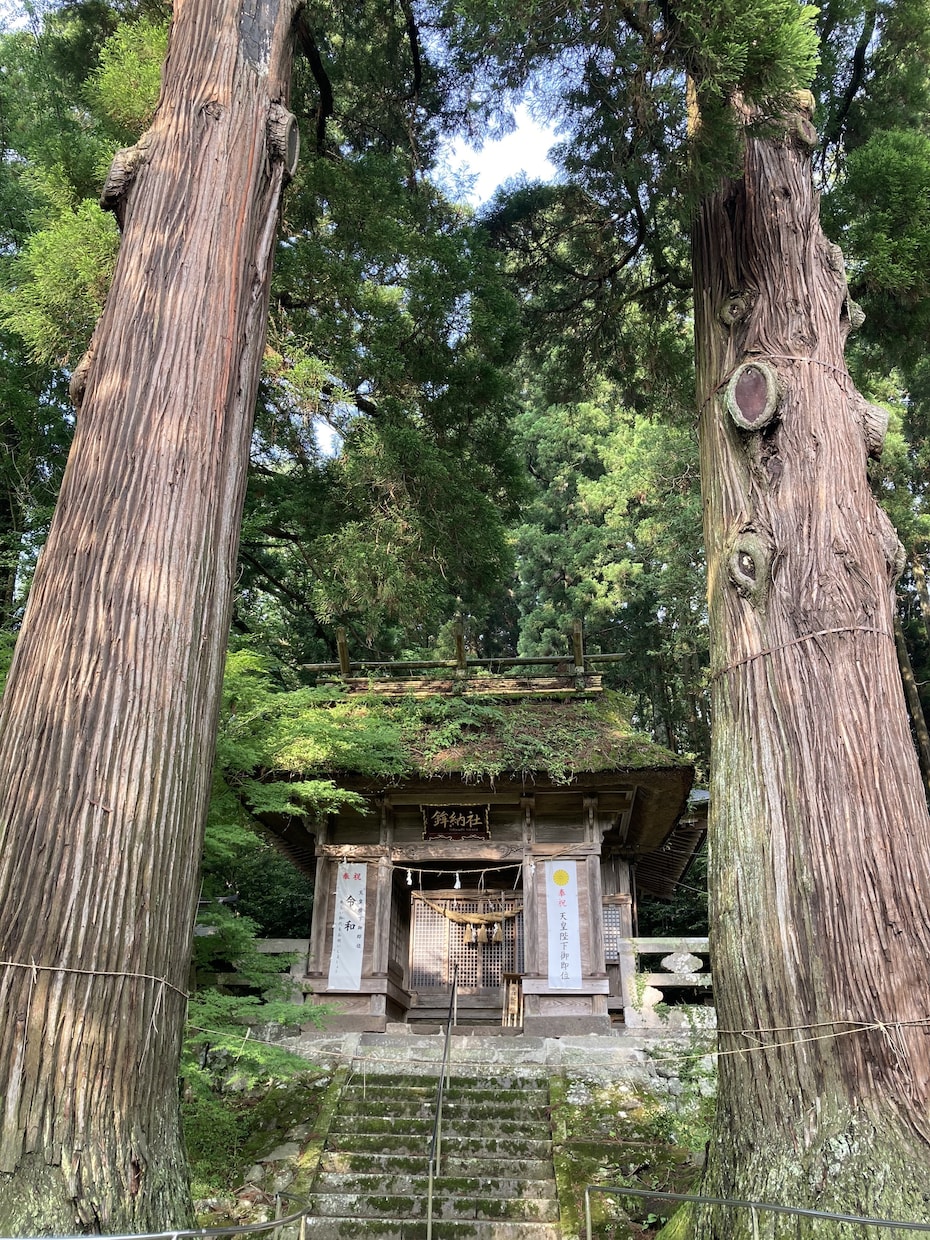 おかげさまパワー！あなたの代わりに神社に参拝します あなたのお名前の龍体文字カードを持って神社に参拝 イメージ1