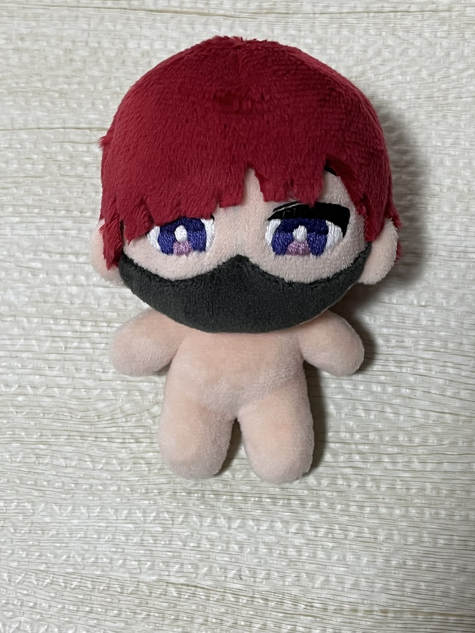 あなたの推しをぬいぐるみにします ないのなら自分で作ってしまおう！ イメージ9