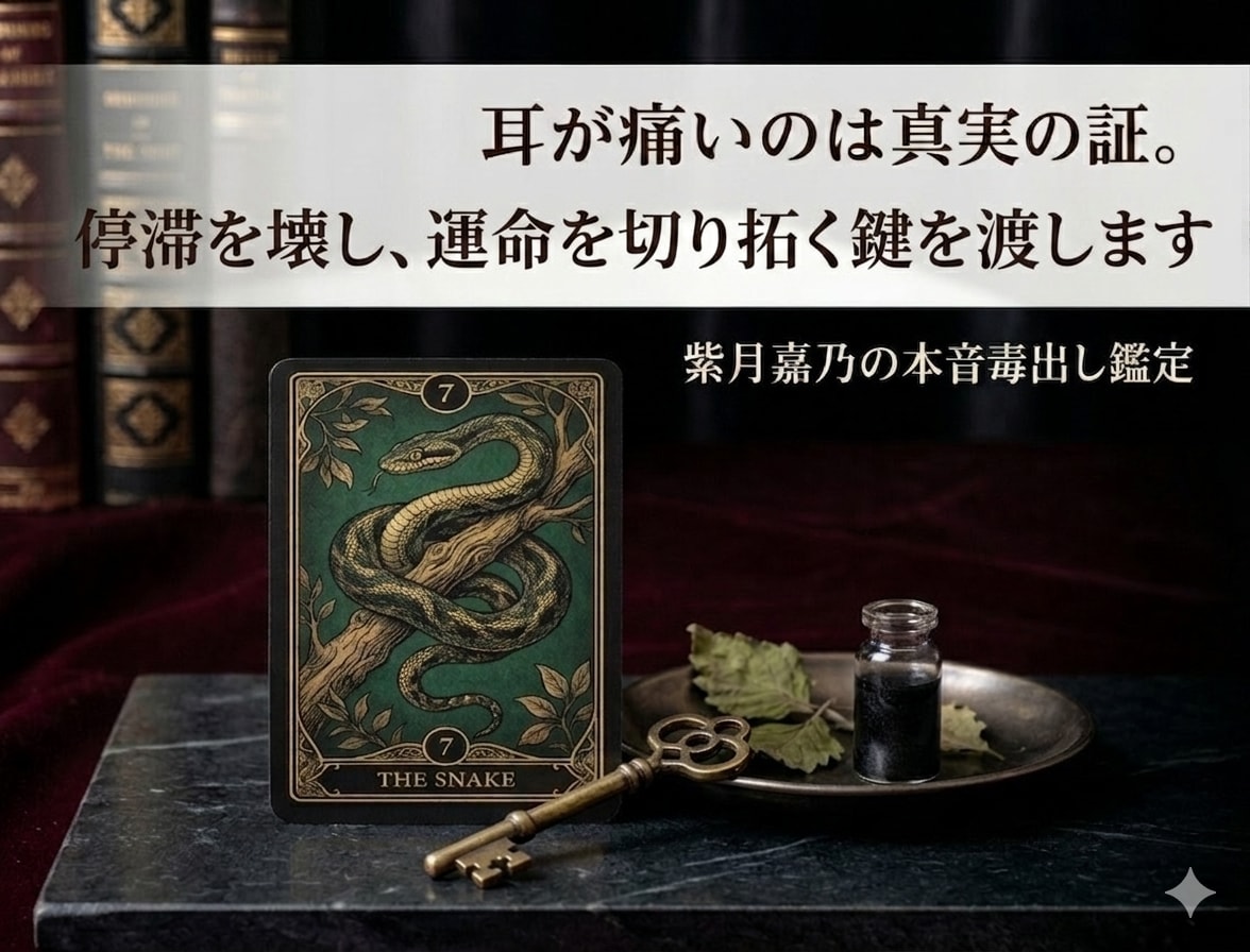 あなたを縛る執着を特定し、心の本音を毒出しします ​耳が痛いのは真実の証。停滞を壊し運命を切り拓く鍵を渡します イメージ1
