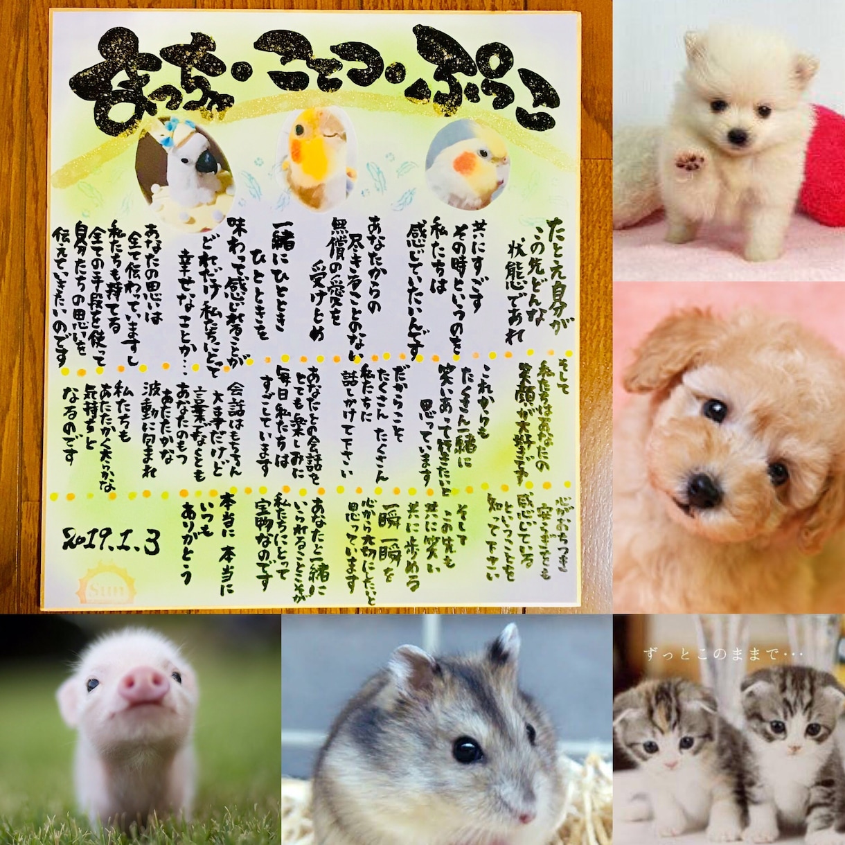 この子は何を想いどんな事を考えてるのかお伝えします ペットちゃんの気持ちをお伝えします！ イメージ2