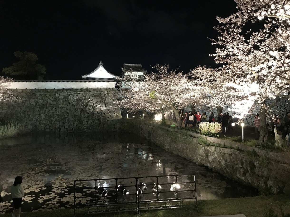 福岡の観光、穴場旅行のご相談承ります 美味しい料理と、お酒のお店、インスタ映え イメージ1