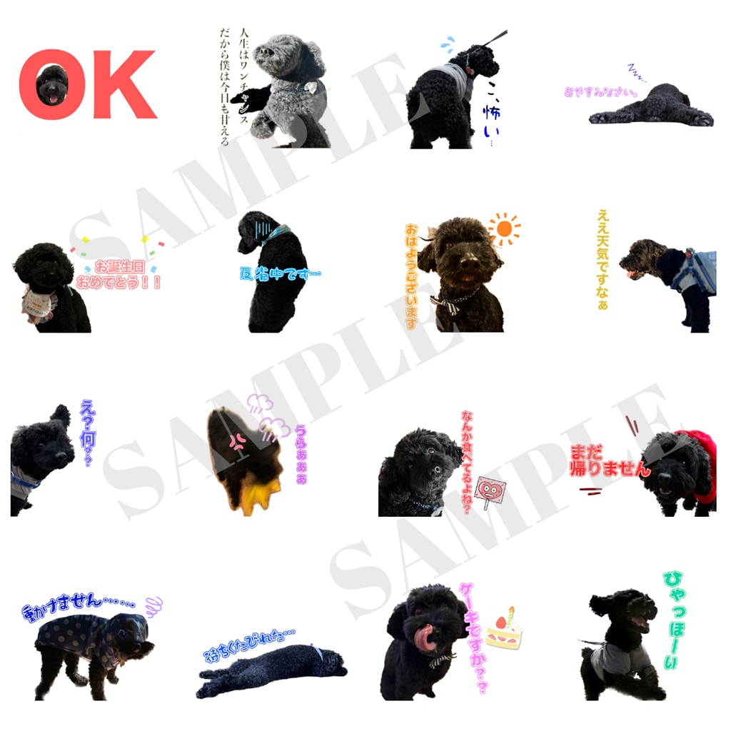 愛犬・手持ちの写真でLINEスタンプ作ります この写真スタンプにしたい！その要望お答えします！！ イメージ1