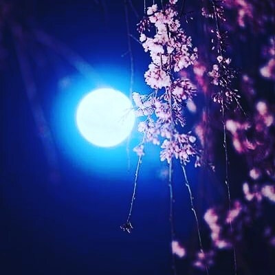今   あなたの未来への扉を開けるお手伝いをします ここの扉を開いてみませんか❔✨大丈夫です✨ イメージ1