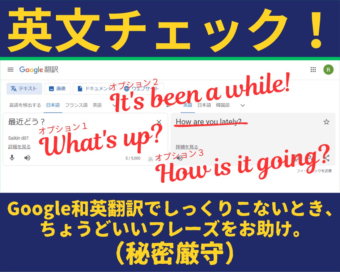 あなたにちょうどいいフレーズをお助けします 英語ビジネスレターやラブレターの文章校正、アドバイス イメージ1