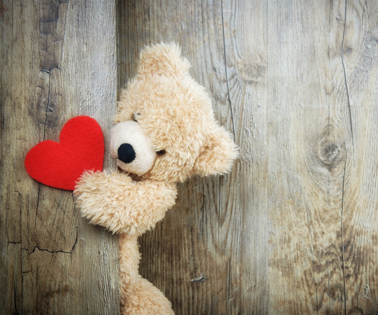 あなたの心にあること、受け止めます 凡人さくらに、心のリセット♡お手伝いさせてください♡ イメージ5