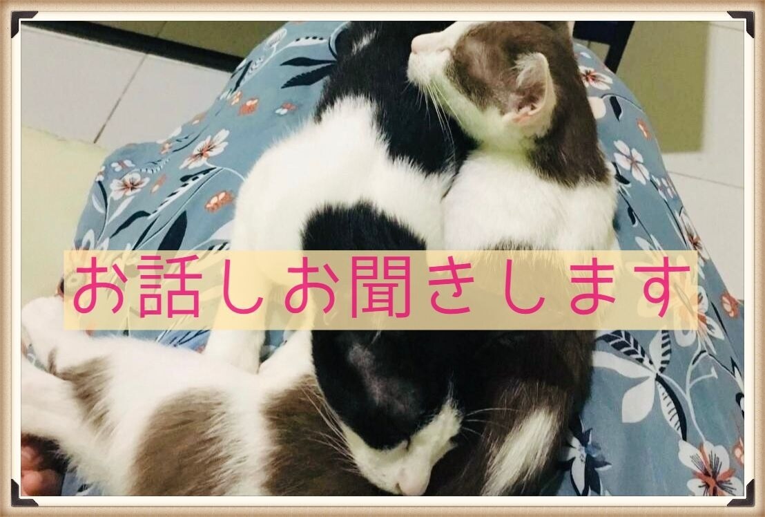 少しのお時間でも大丈夫です。お話をお聞きします 心のモヤモヤやお仕事の悩みなど、なんだか誰かと話したい方～ イメージ2
