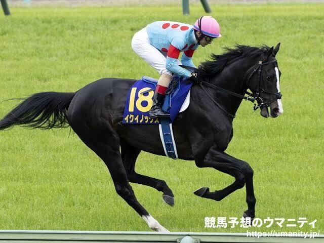 地方、中央競馬の予想と買い目を出します 中央競馬、地方競馬の予想、買い目 イメージ1
