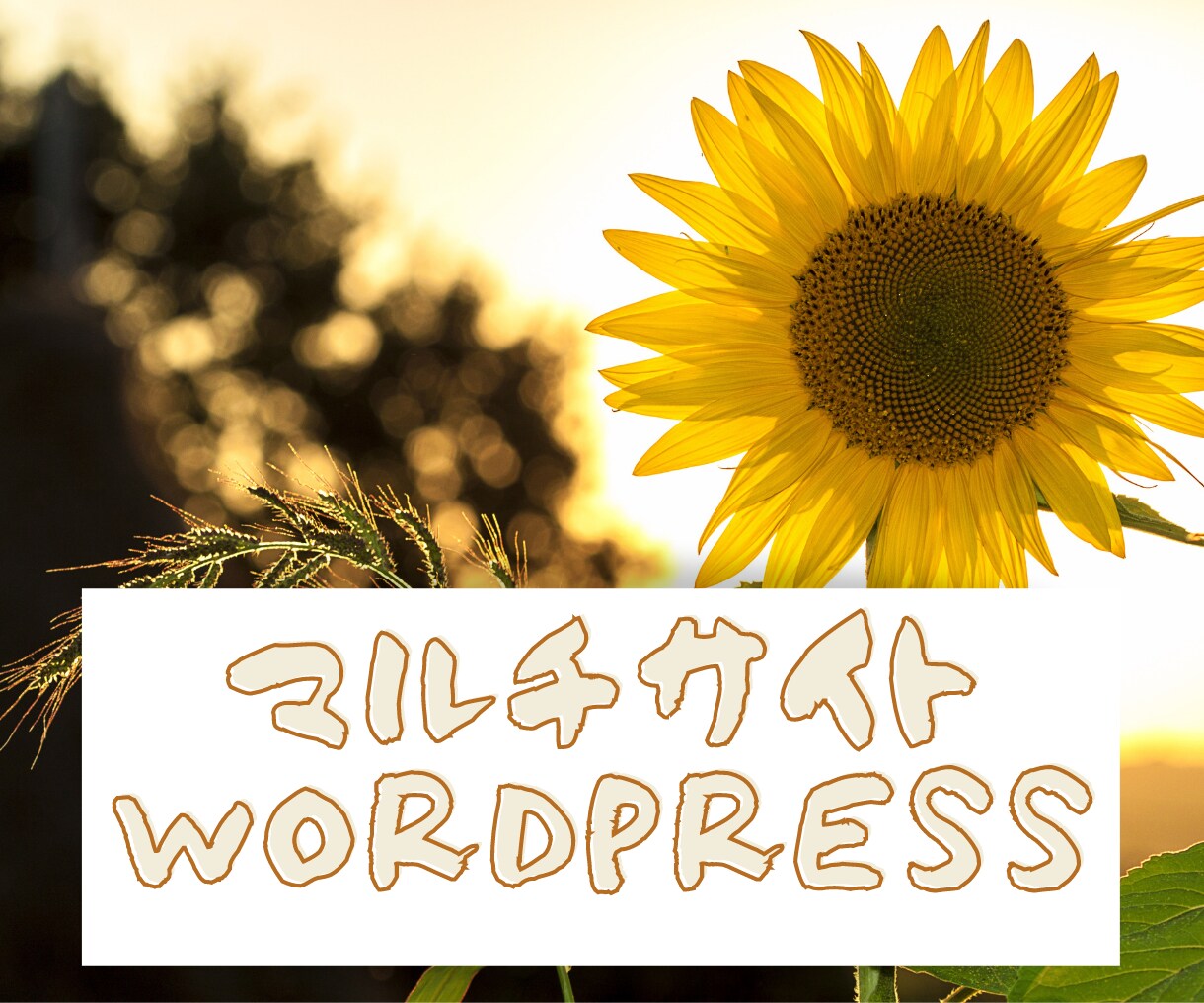 シングルサイトのWPサイトをマルチサイト化します １つのWordPressで複数のサイト、メディアサイトに最適 イメージ1