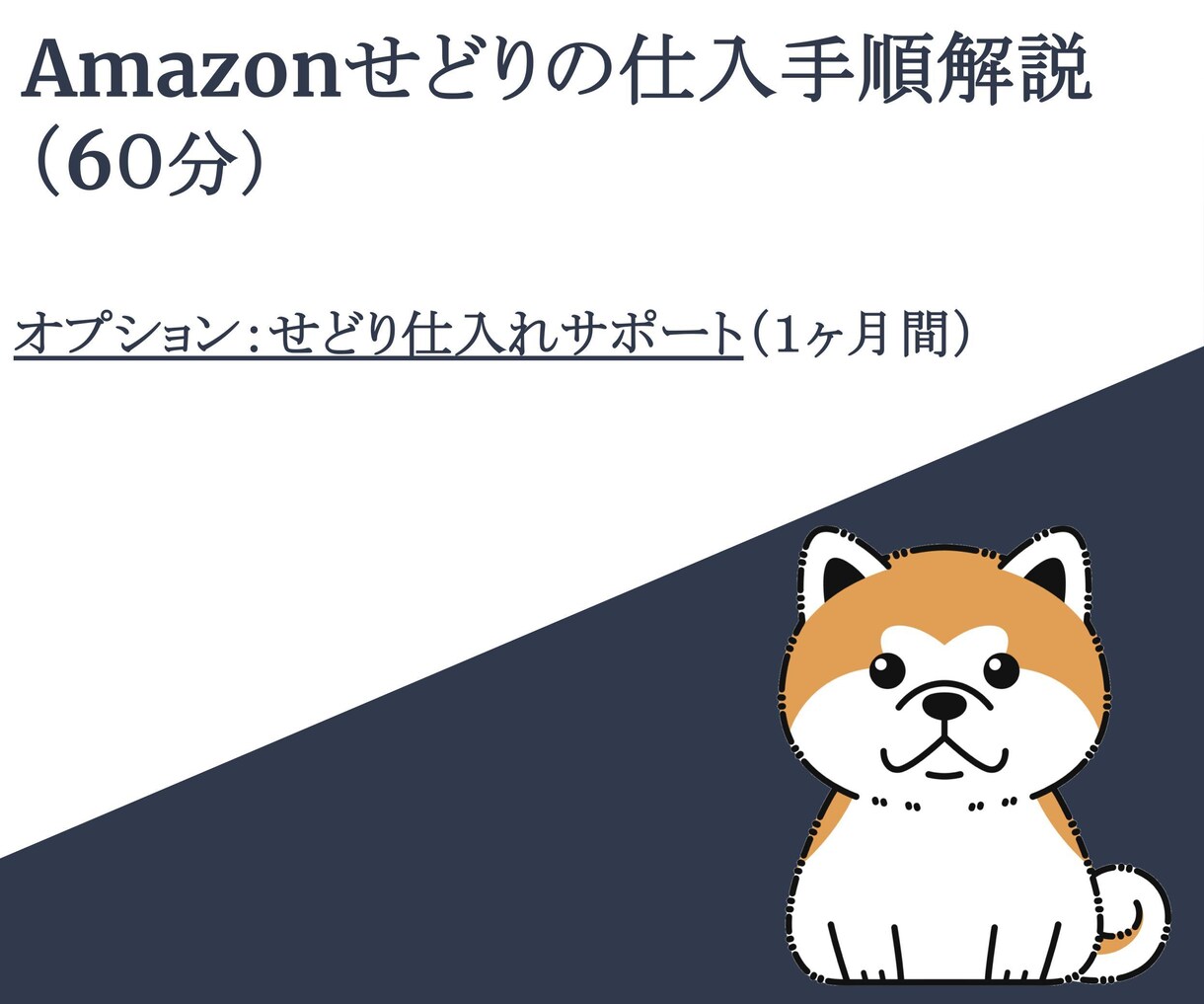 Amazonせどりをフォローします オンラインで仕入手順の説明 （オプション：1ヶ月間サポート） イメージ1