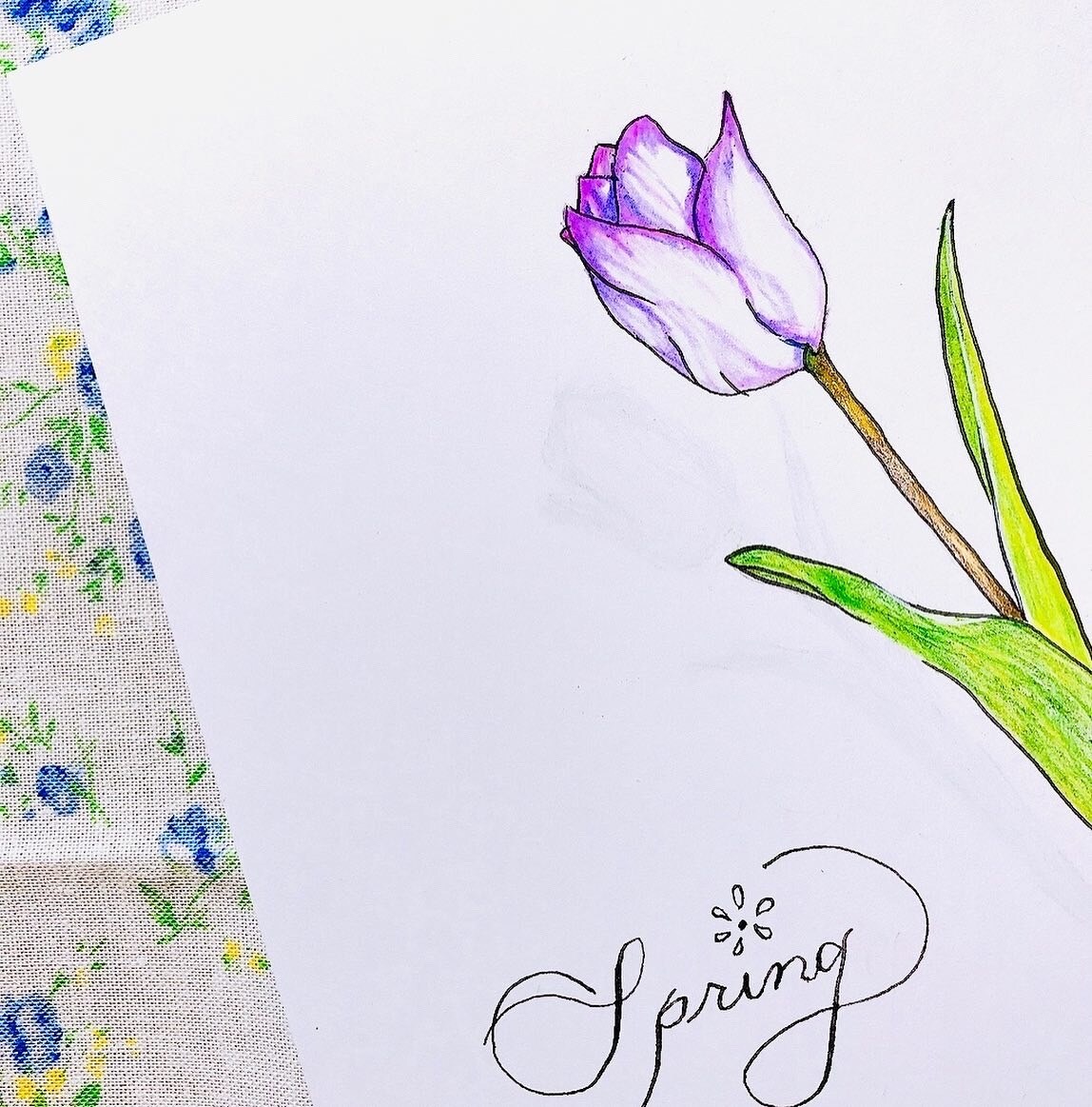 お花のイラストを色鉛筆で描きます お花の絵を飾ろう。生花じゃなくても絵で癒される時間を イメージ3