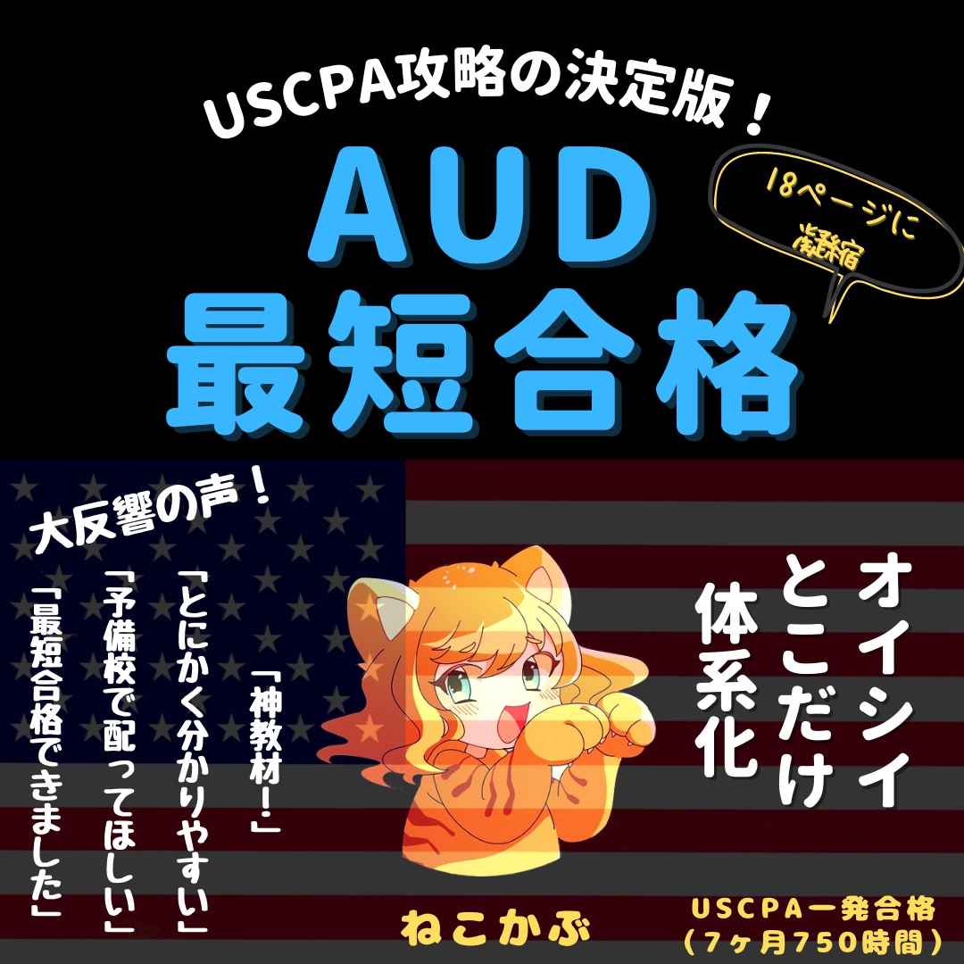 USCPA合格者がAUD攻略ノートを販売します 7ヶ月でUSCPA全科目合格のノウハウを凝縮した完全攻略本 イメージ1