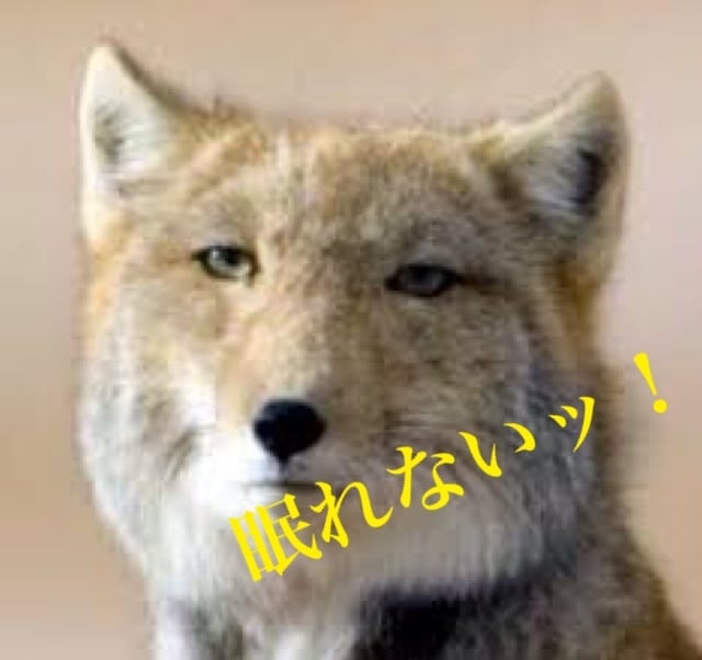 何でもぶつけてみて。どんな話でも聞きます 愚痴・恋愛相談・病み・世間話・ムフフな話、なんでも！！ イメージ5