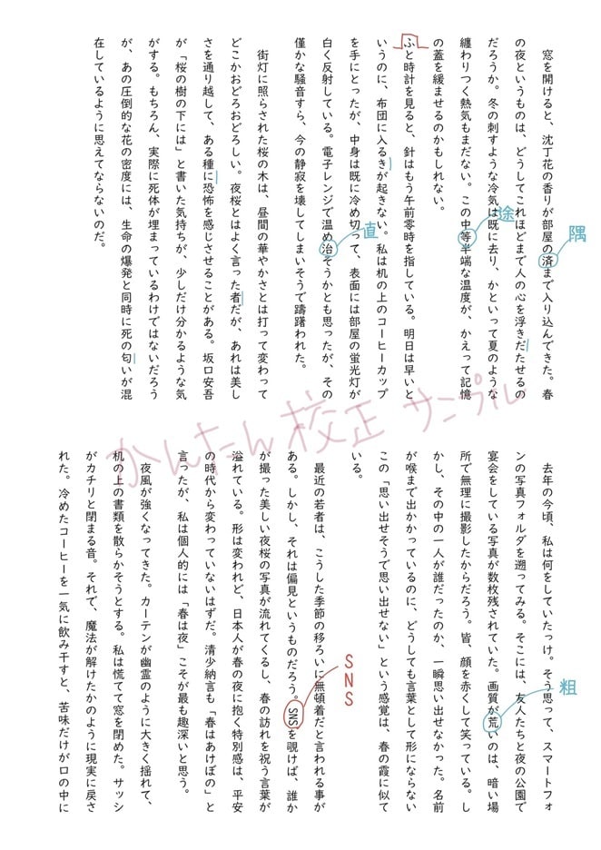 日本語データの校正します 添削不要、文章の専門家の目を通したい、という方に最適 イメージ3