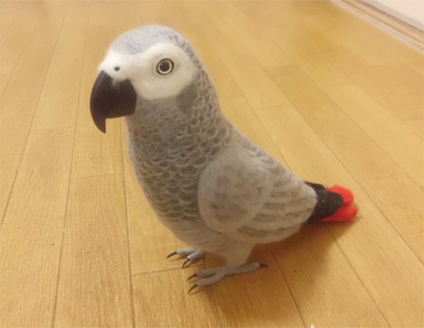 あなたの愛鳥をモデルに羊毛の小鳥を制作します 自分の愛鳥グッズを諦めていた方必見！ボウシ・バタン・ヨウム等 イメージ4