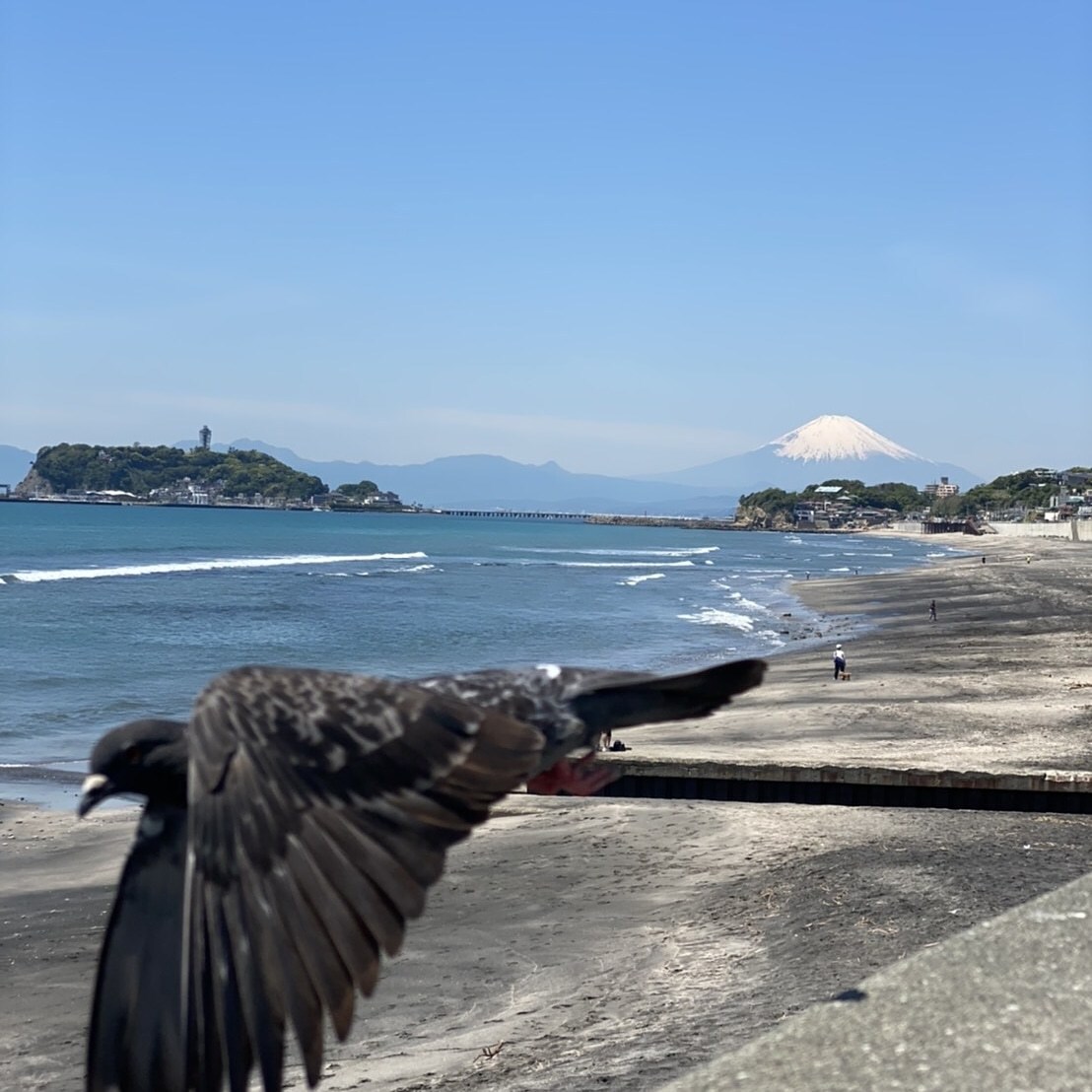 トラウマ　必ず良くなります 心の傷　癒やします。必ず、お力になれます。 イメージ1