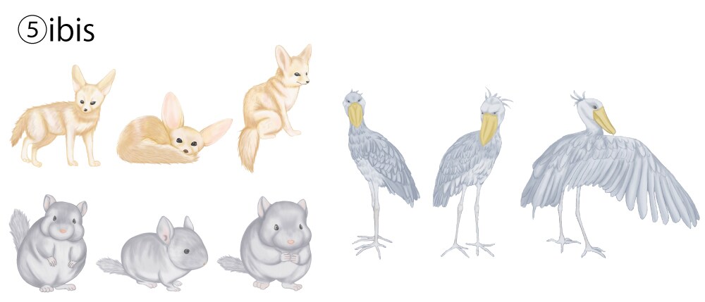 3柄の価格！図鑑風な動物・食べ物イラスト描きます アイコン、HP、パンフレット、個人挿絵など イメージ7