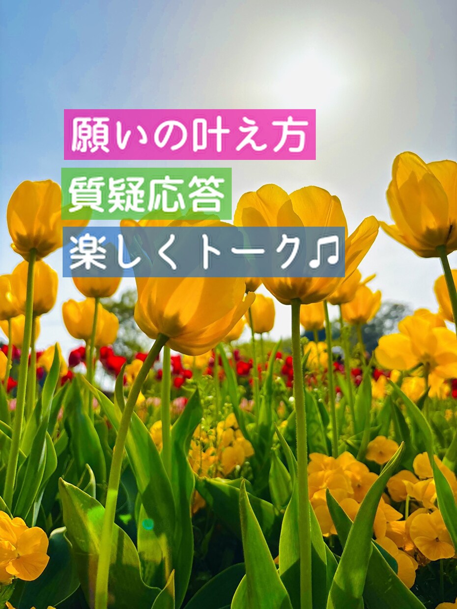願望実現・スピリチュアルな話、お付き合いします 外ではなかなか話せない話、ここで盛り上がりましょう！ イメージ4