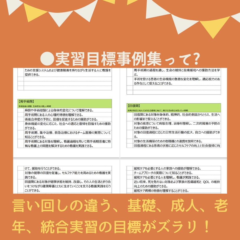 過去の看護実習記録★テンプレ★いろいろ教えますます 【すらすらパック】目標★関連図★周術期メモもあります♪ イメージ10