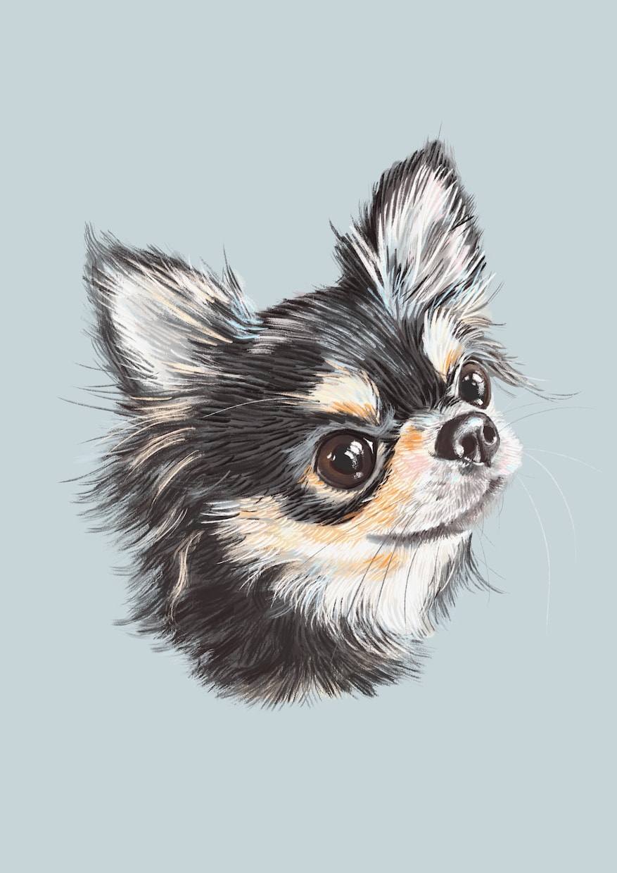 ふんわりやさしいタッチで似顔絵をお描きします 愛犬・愛猫のアイコン、プレゼント用にも！商用利用可⭐︎ イメージ1