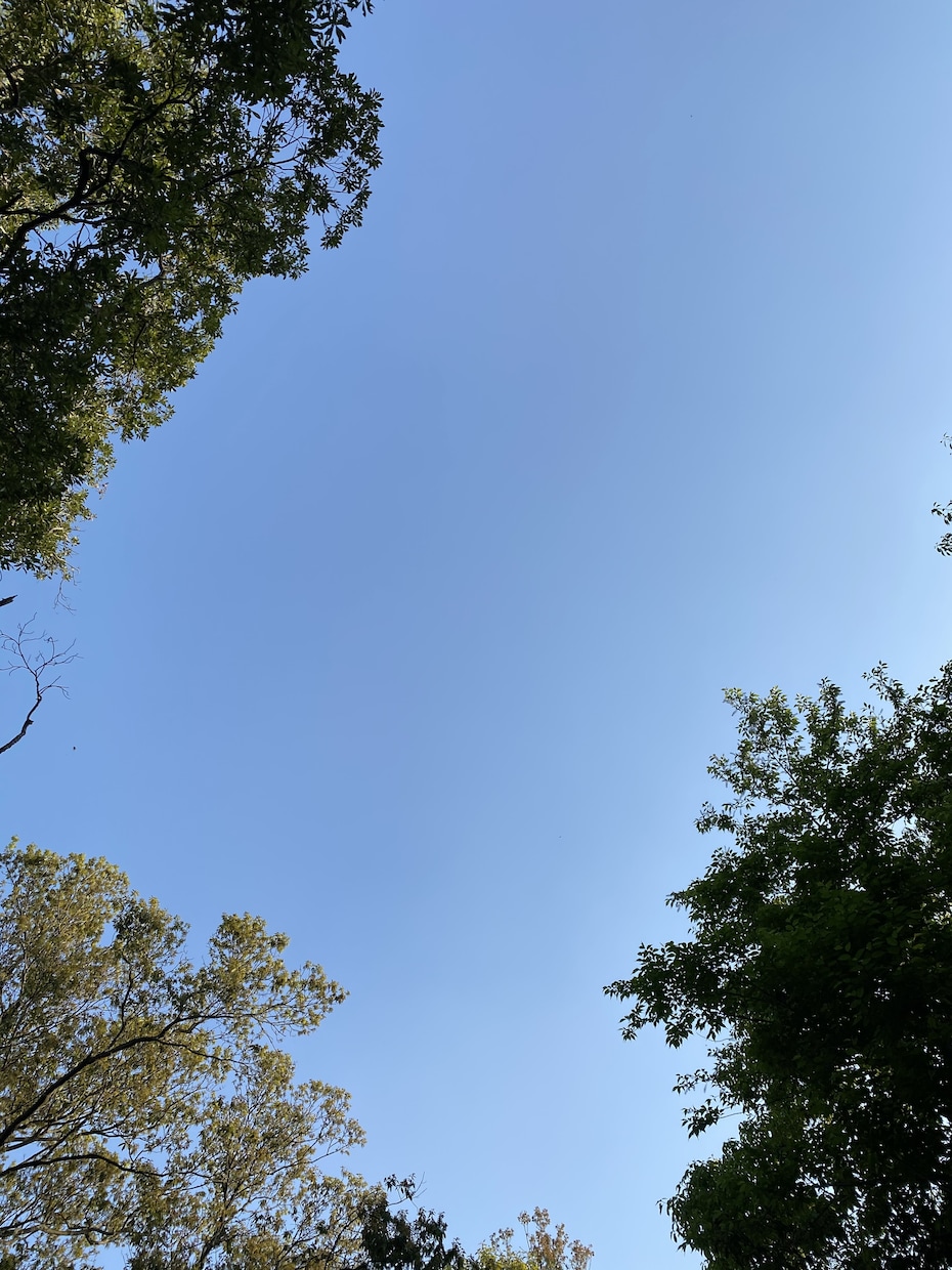 無職で実家暮らし、結婚できないアラサーの話聞きます あっ、それ私です。仲間のみんな小集合！！ イメージ7