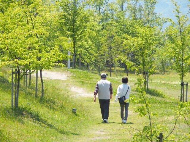 もやっとしたものを言葉にして現実化への道を作ります 岩瀬紹実の心のお散歩〜つむぐ・つながる・つぐみと〜 イメージ2