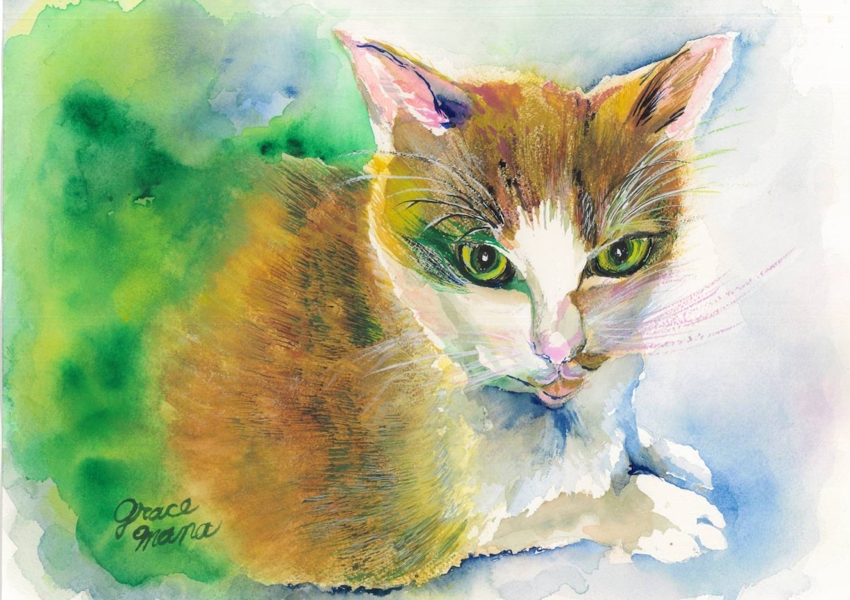 可愛いうちの子猫の絵を透明水彩画で描きます ペットの似顔絵・肖像画オーダー『まなペットアート』横浜・東京 イメージ5