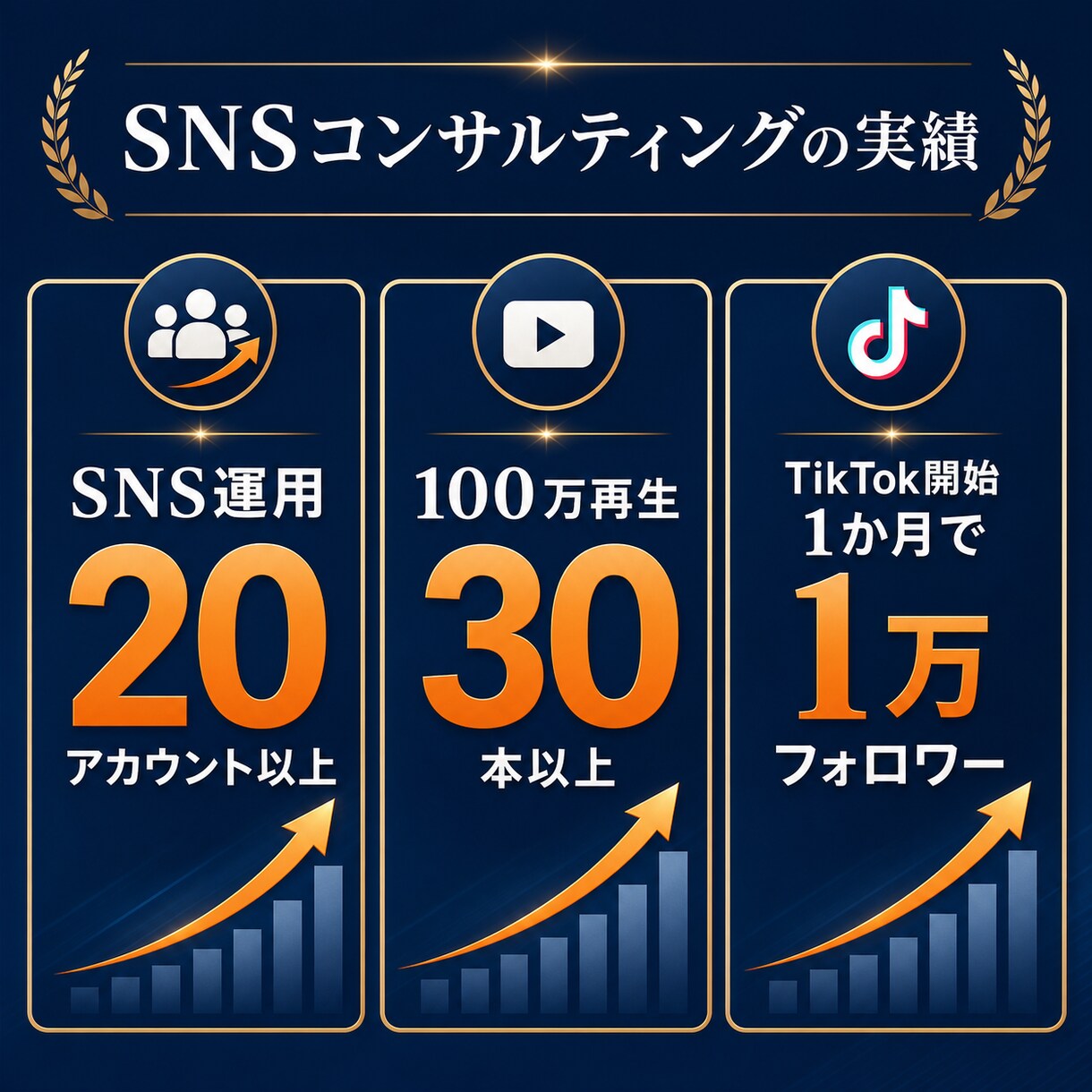 無料診断受付中｜売上に繋がるSNSを構築します 100万再生動画を量産したノウハウでサポートします。 イメージ2