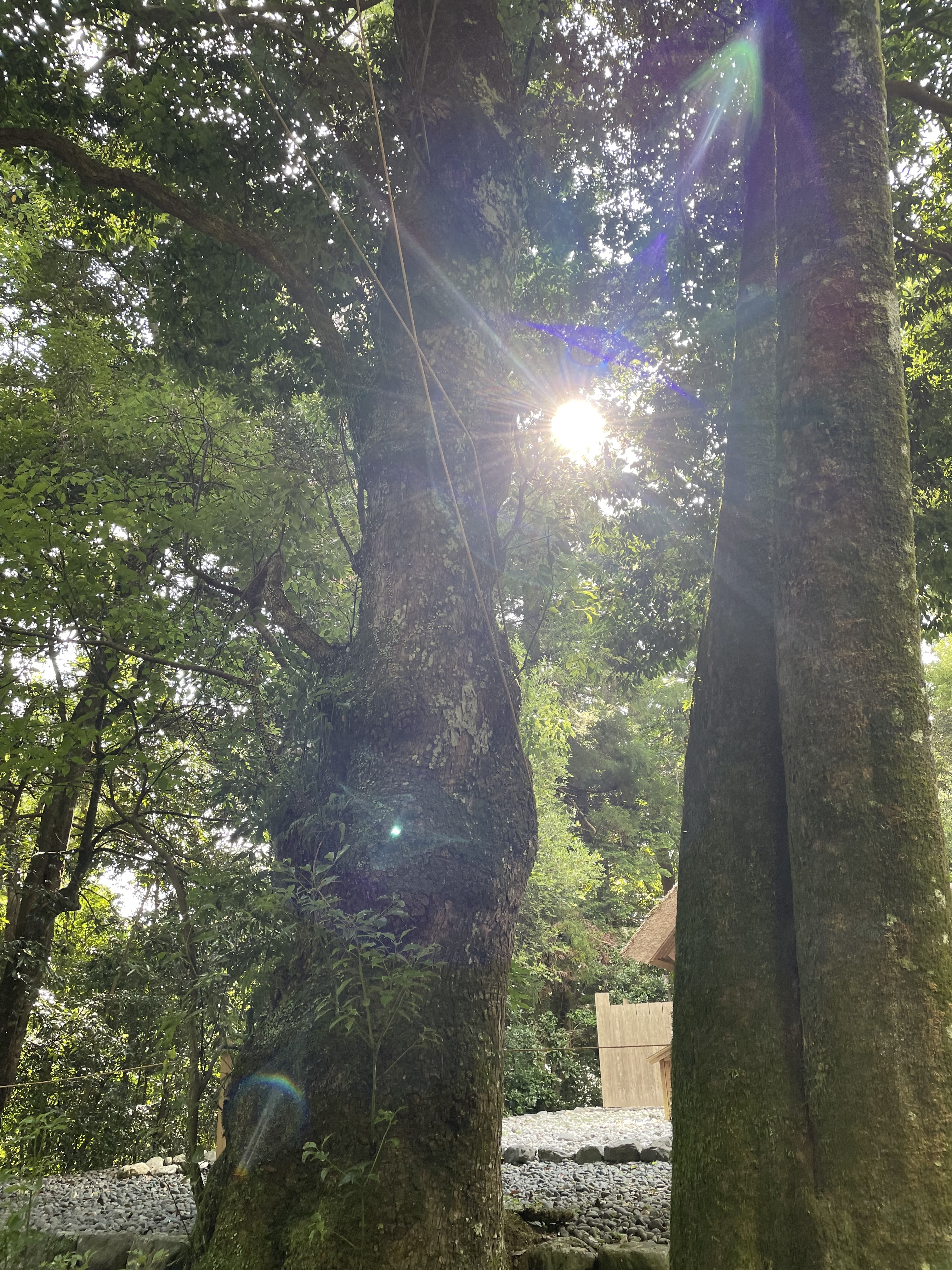 誰にも話をする事ができない時、私が聞きます 心のモヤモヤを吐き出し新たな一歩を踏み出そう イメージ3