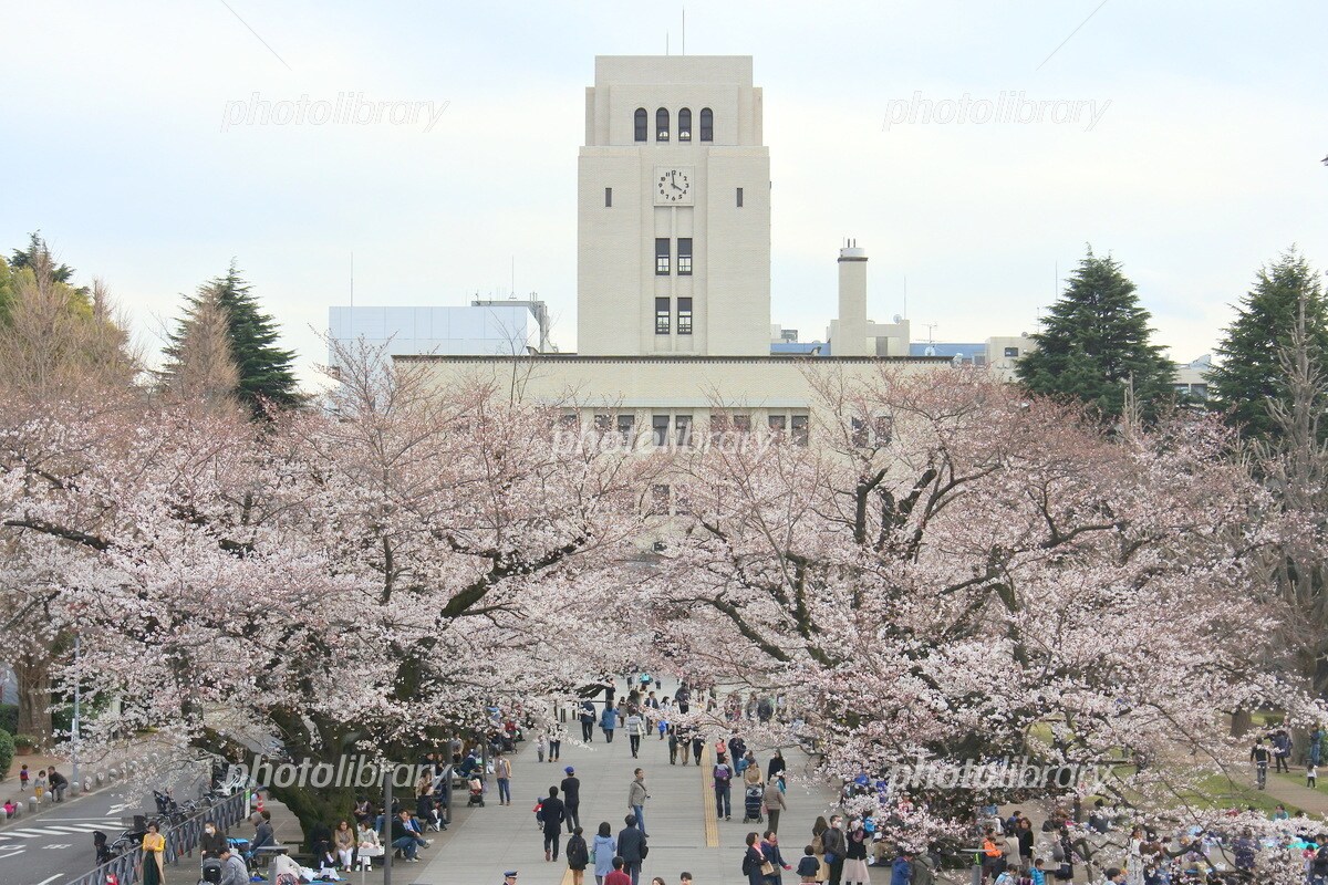 東京工業大学院生が数学、英語、物理の問題を教えます 入試に向けた勉強、宿題のわからないところなど解説します！！ イメージ1