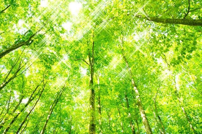 あなたの悩みお聞きします 悩んでる方、誰かに話を聞いて欲しい方向け イメージ1