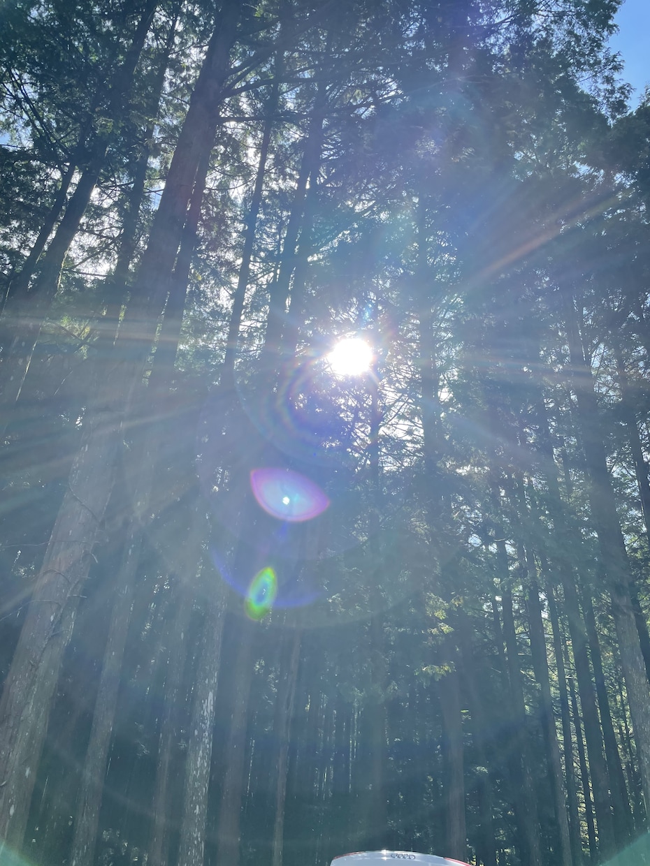 開運画像を販売します 神社やお寺、光、山や川や空、猫の画像で開運のお手伝いします！ イメージ7