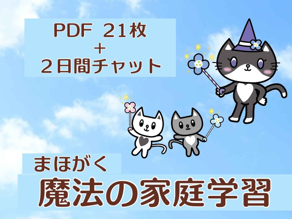 公立小学校に通うお子さんの家庭学習アドバイスします PDF21枚＋チャット☆塾なし魔法の家庭学習☆彡 イメージ1