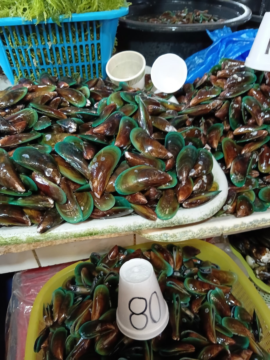 子供達の教育やフィリピン現地生活のリアルを教えます フィリピン親子移住、現役ママが本音で答える30分相談 イメージ7