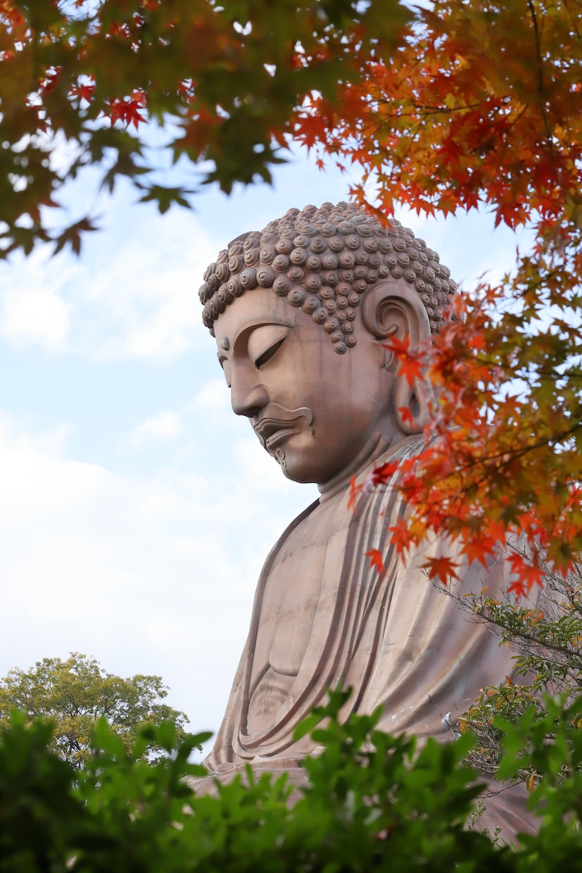 愛知県で写真撮影代行します フルサイズ一眼カメラで撮影した高画質な写真を提供します イメージ9