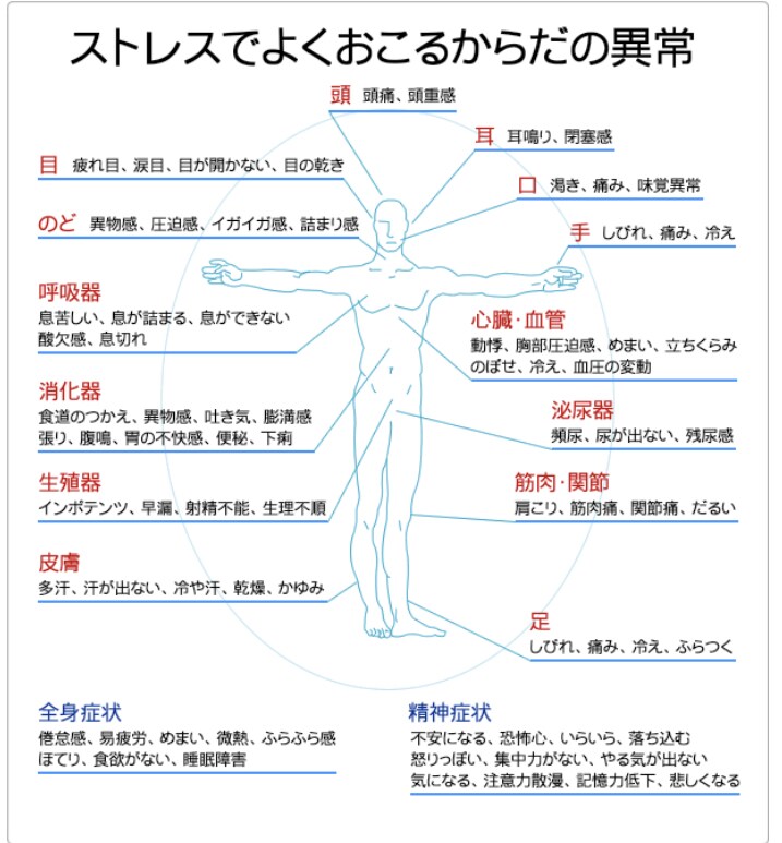不定愁訴でお困りの方、心と体の両面サポートします 【モニター価格】心身の不定愁訴を30日完全サポートします イメージ3