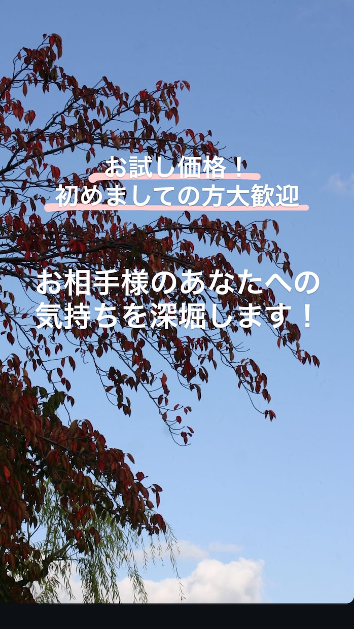 相手の気持ちを深堀します あなた様のことをどう思っているか真相をお伝えします イメージ1