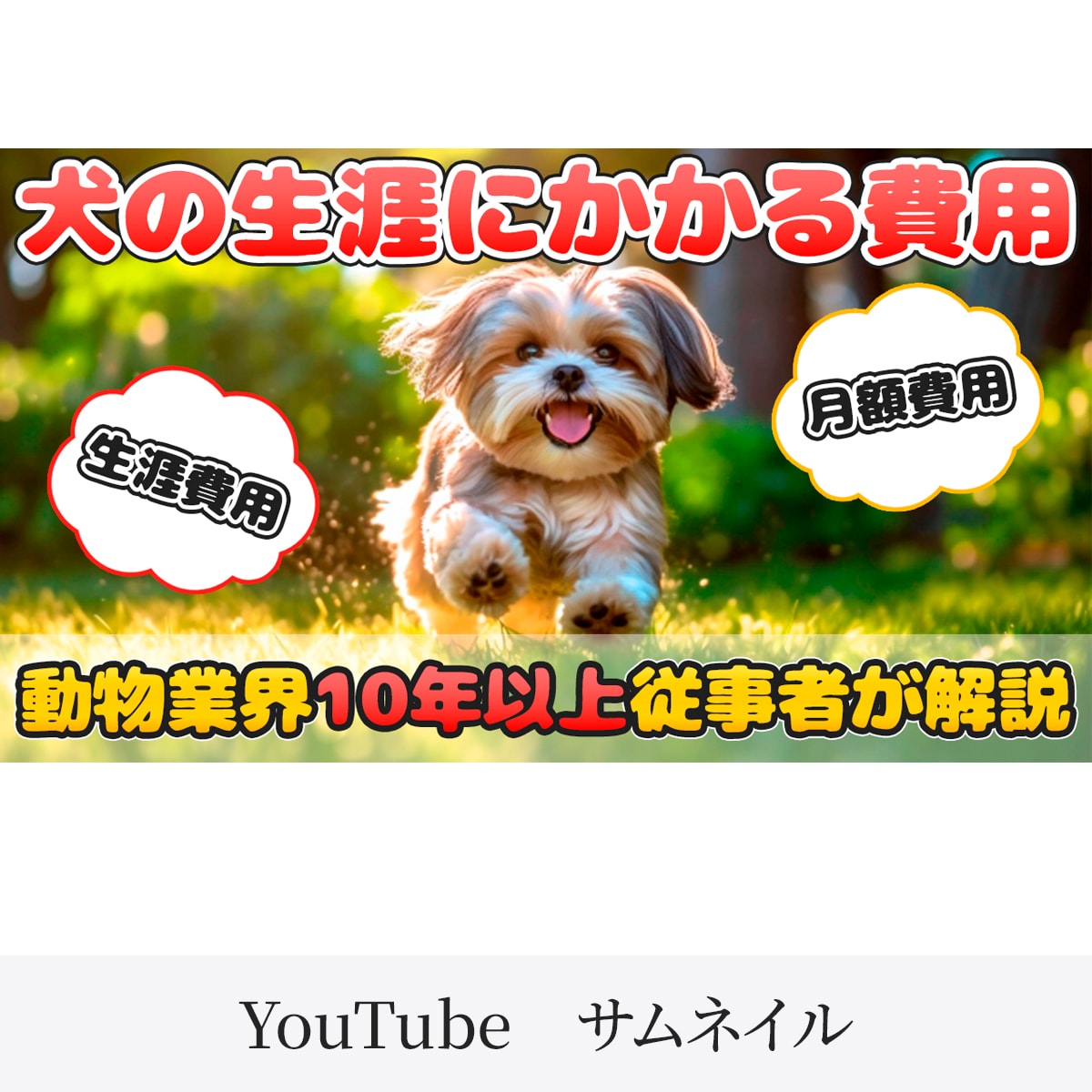 YouTubeサムネイルを制作致します Twitter / Instagram / YouTube イメージ4