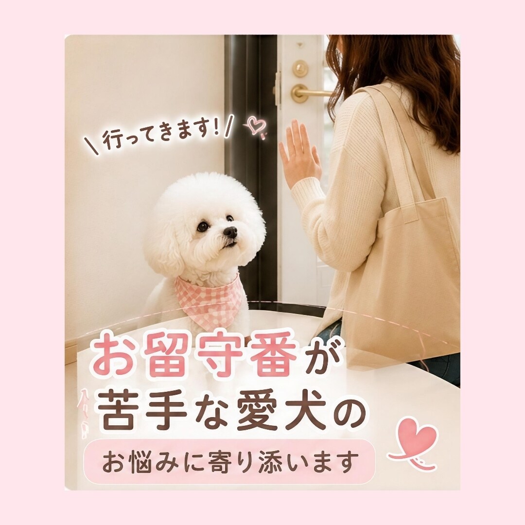 愛犬のお留守番、不安なお気持ちお聞きしますます お留守番が苦手な愛犬を一緒にサポートします イメージ1