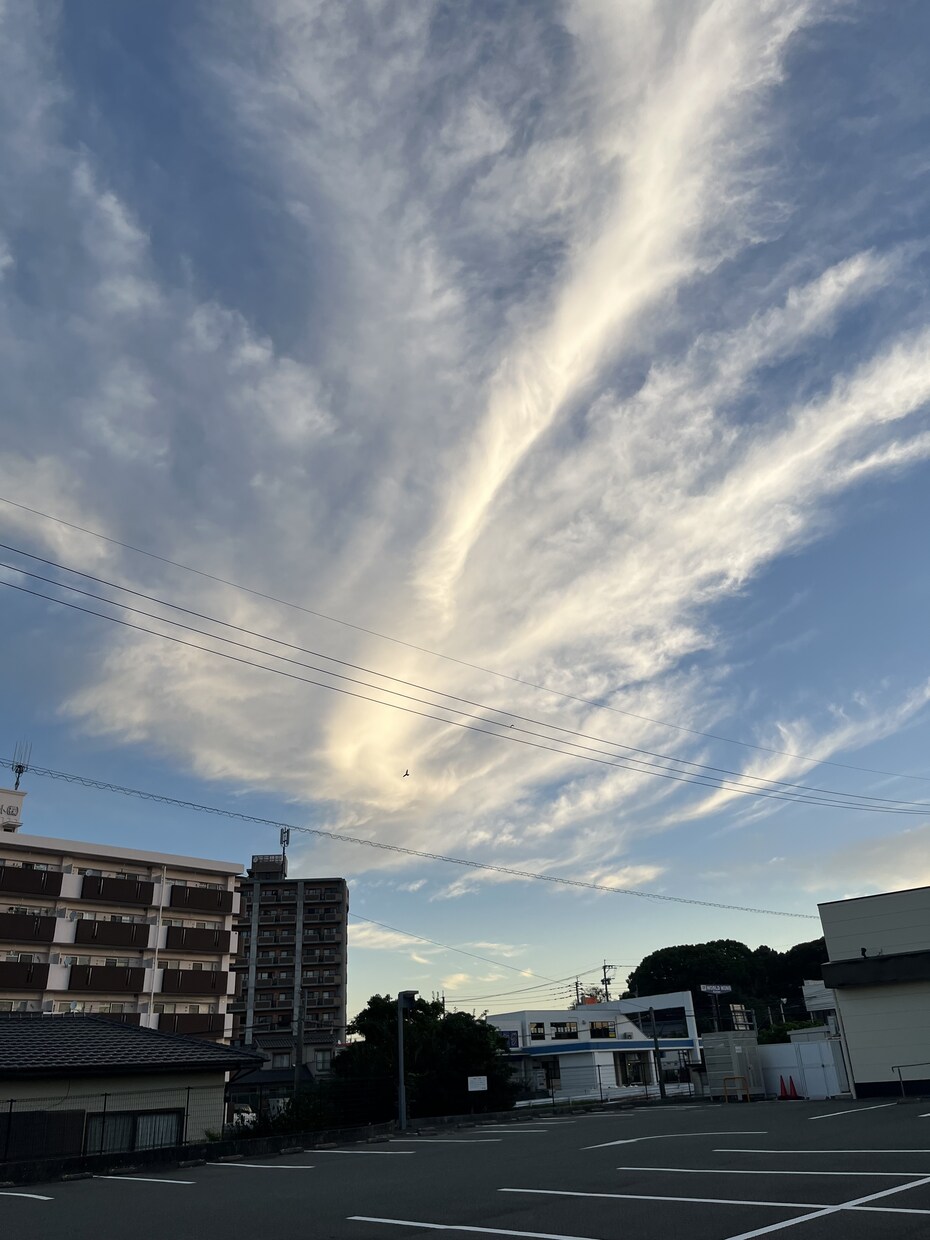 広く、色々なご相談をお話しできます うまく話せなくても大丈夫！！あなたが楽なのが1番(*^^*) イメージ1