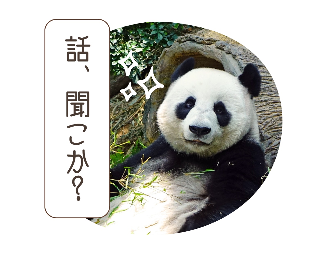 恋愛·不倫·悩み·アナタの気持ちに寄り添います 友達·恋人·妻✿今日はどんなかおりとお話しましょーか? イメージ3