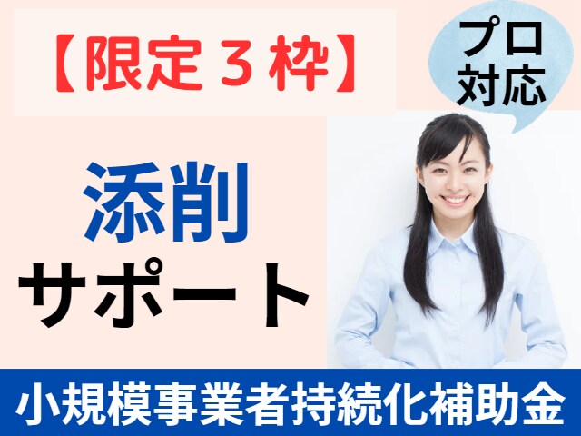 限定３枠∥小規模事業者持続化補助金を【添削】します 中小企業診断士対応／事務局の専門家経験あり／支援実績多数 イメージ1