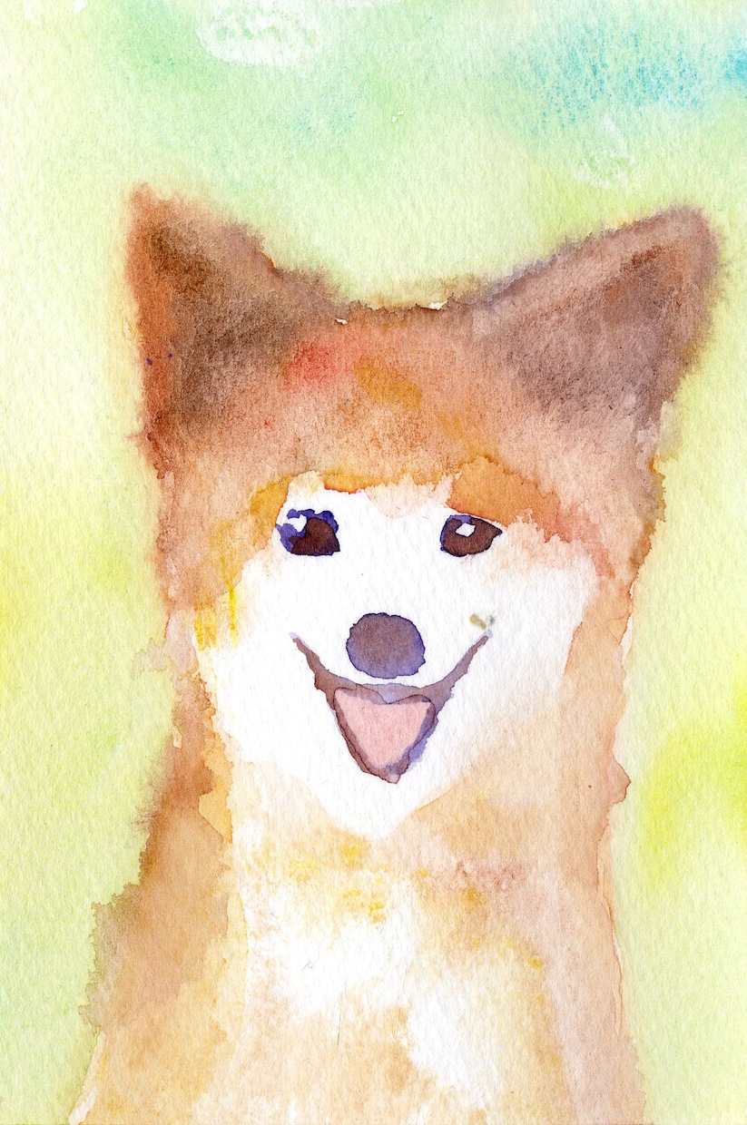 可愛いウチの子を描きます 5000円で額縁に入れて飾ることができます。 イメージ9
