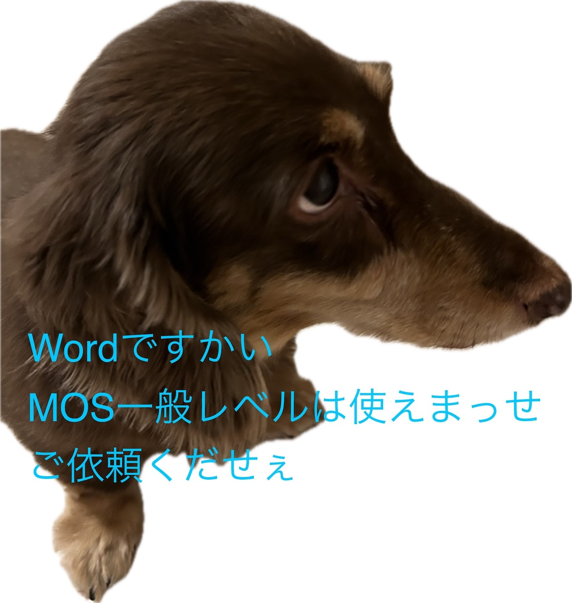 Wordにてフォーマット作成します MOS一般レベルは使えます。気軽に声をかけてください。 イメージ1