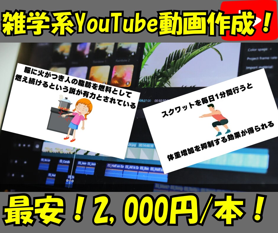 2000円/本！最安値を目指します 雑学系YouTube編集！丁寧かつ迅速に納品します！ イメージ1